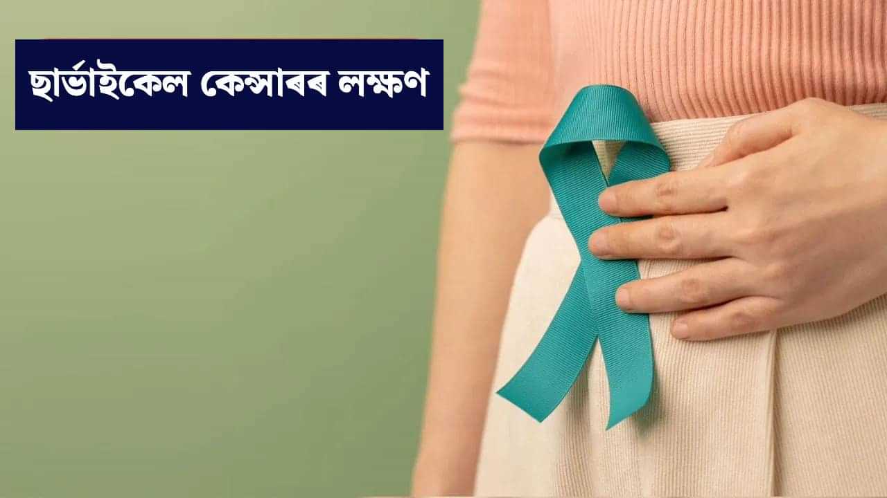 মহিলাৰ ছাৰ্ভাইকেল কেন্সাৰ হোৱাৰ পূৰ্বে কি কি লক্ষণ দেখা যায়? জানক... মহিলাৰ ছাৰ্ভাইকেল কেন্সাৰ হোৱাৰ পূৰ্বে কি কি লক্ষণ দেখা যায়? জানক...