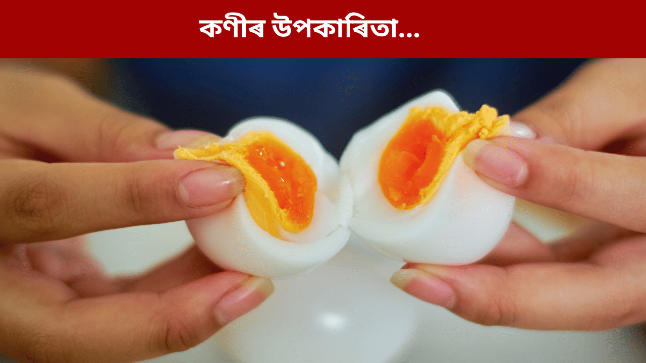 শীতকালত এদিনত কিমানটা কণী খাব পাৰি? জানক সঠিক উত্তৰ... শীতকালত এদিনত কিমানটা কণী খাব পাৰি? জানক সঠিক উত্তৰ...