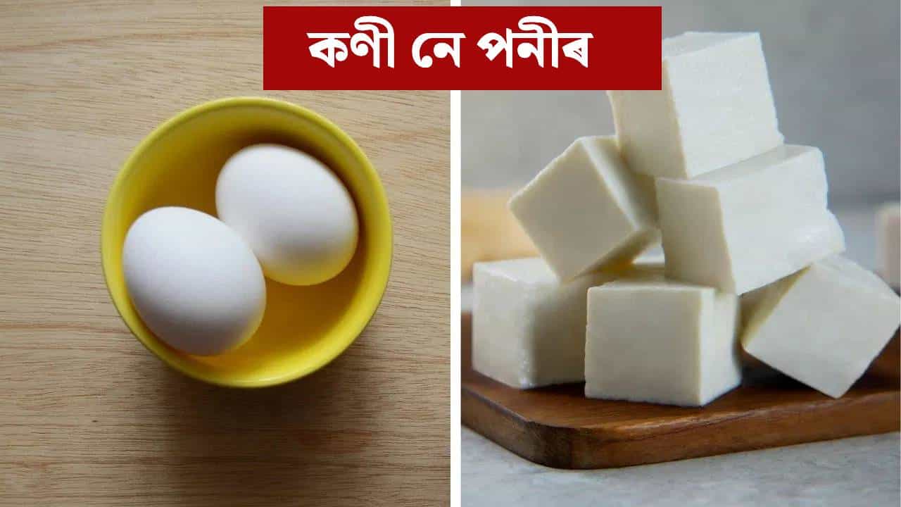 কণী নে পনীৰ, হাই প্ৰটিন লাভ বাবে কোনটো ভাল? জানক... কণী নে পনীৰ, হাই প্ৰটিন লাভ বাবে কোনটো ভাল? জানক...