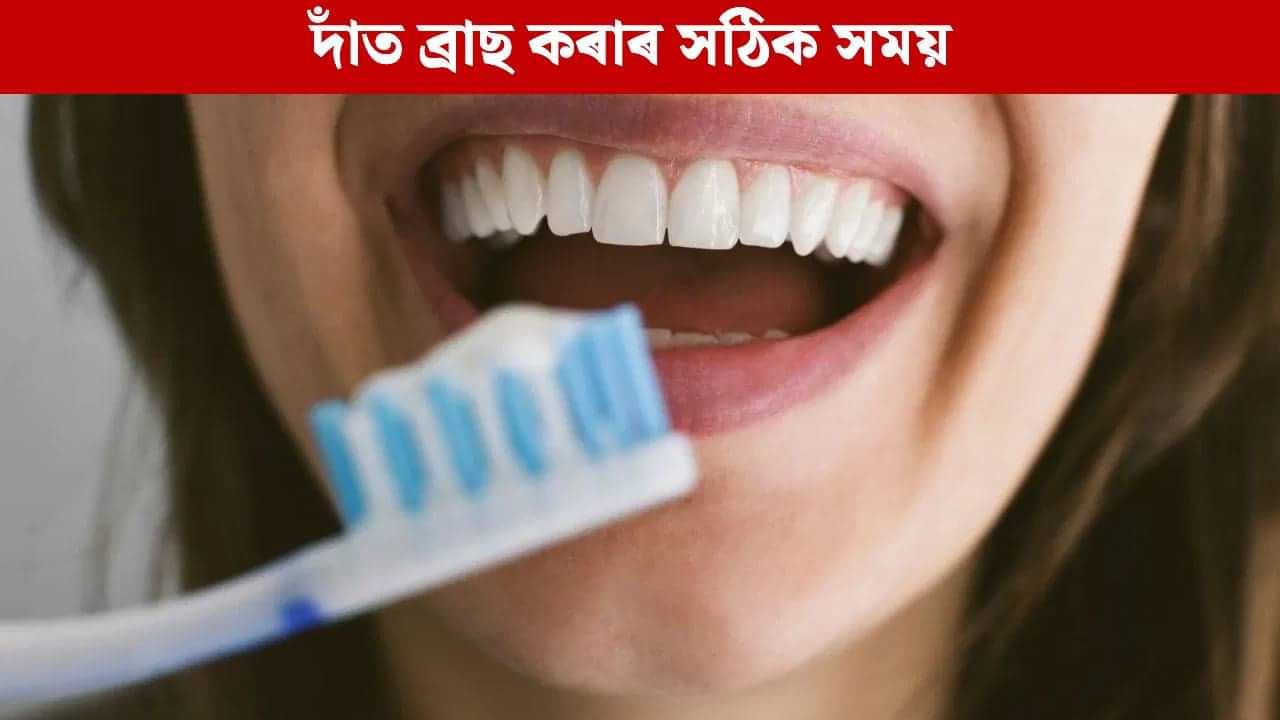 ৰাতিপুৱা নে গধূলি ! কেতিয়া দাঁত ব্ৰাছ কৰিব লাগে ? সঠিক সময় জানক ৰাতিপুৱা নে গধূলি ! কেতিয়া দাঁত ব্ৰাছ কৰিব লাগে ? সঠিক সময় জানক