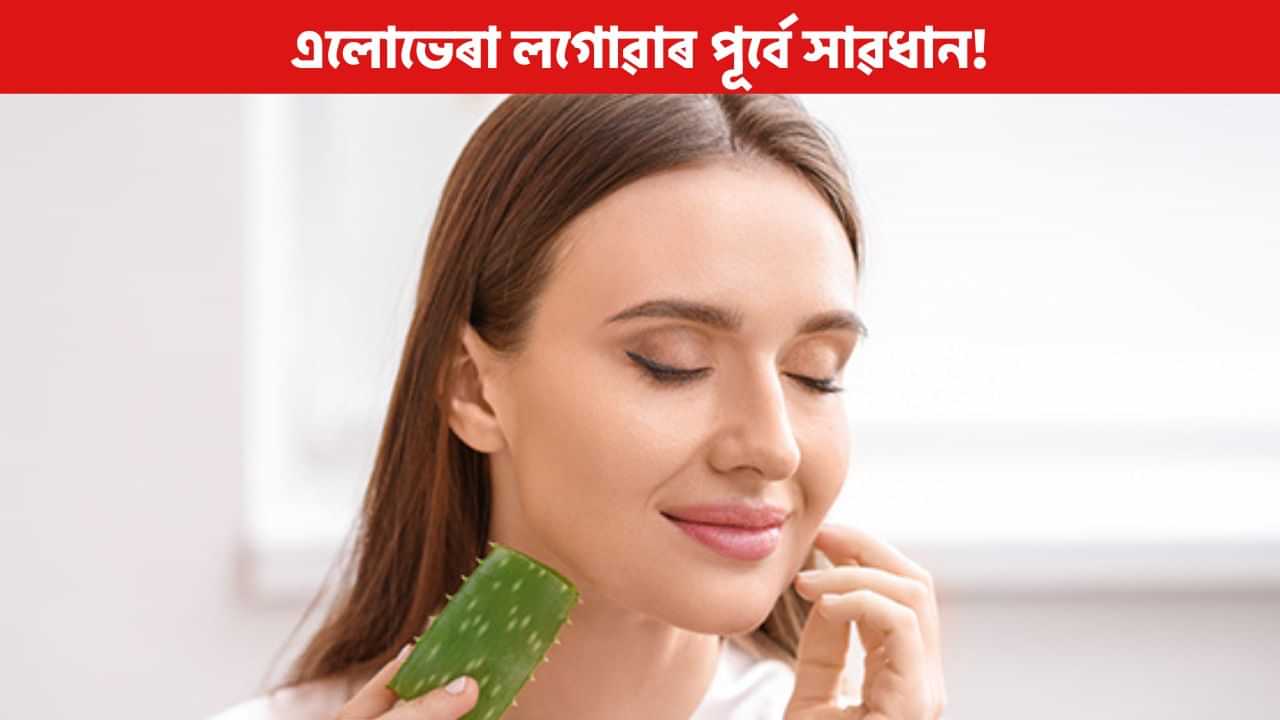 এলোভেৰাই মাতিব পাৰে বিপদ! এলোভেৰাৰ অপকাৰী গুণৰ বিষয়ে জানক এলোভেৰাই মাতিব পাৰে বিপদ! এলোভেৰাৰ অপকাৰী গুণৰ বিষয়ে জানক