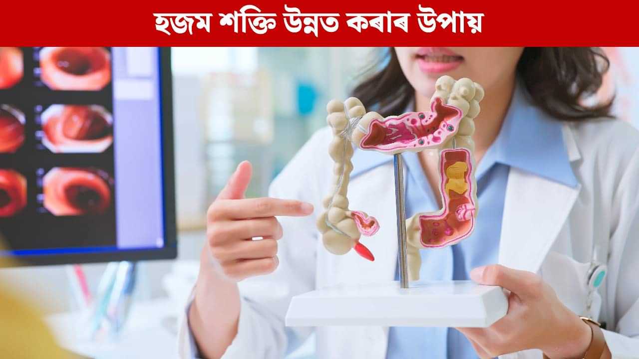 পেট ফুলাৰ সমস্যাৰ পৰা পাব উপশম, স্বাভাৱিকভাৱে হজম শক্তি বৃদ্ধিৰ ৫ টা ঘৰুৱা উপায় পেট ফুলাৰ সমস্যাৰ পৰা পাব উপশম, স্বাভাৱিকভাৱে হজম শক্তি বৃদ্ধিৰ ৫ টা ঘৰুৱা উপায়