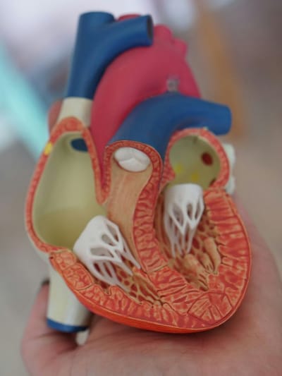 শীতকালত বৃদ্ধি পাব পাৰে হৃদযন্ত্ৰৰ সমস্যা, নিজৰ সুৰক্ষাৰ বাবে এইদৰে লওক যত্ন