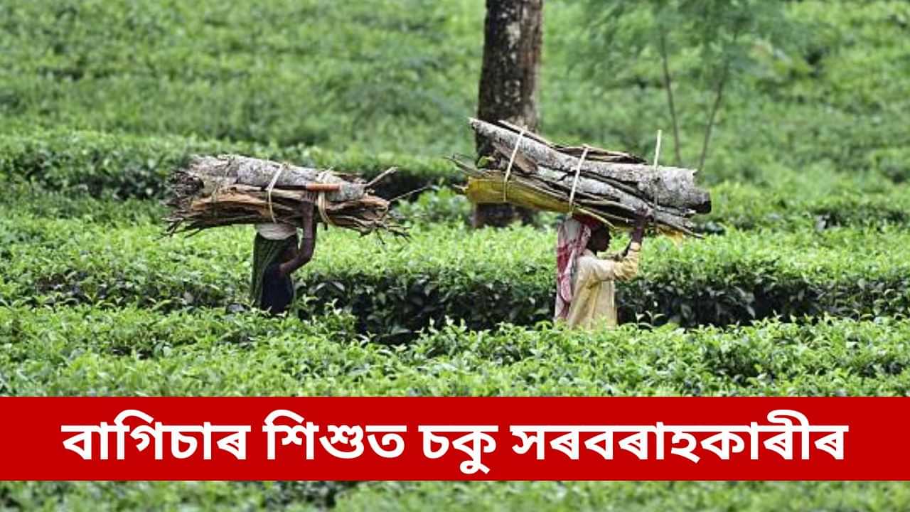 ৫০ হাজাৰৰ পৰা ডেৰলাখ টকা দৰত বিক্ৰী কৰে শিশু! তিনিচুকীয়াত শিশু সৰবৰাহ চক্ৰৰ ভয়ংকৰ জাল ৫০ হাজাৰৰ পৰা ডেৰলাখ টকা দৰত বিক্ৰী কৰে শিশু! তিনিচুকীয়াত শিশু সৰবৰাহ চক্ৰৰ ভয়ংকৰ জাল