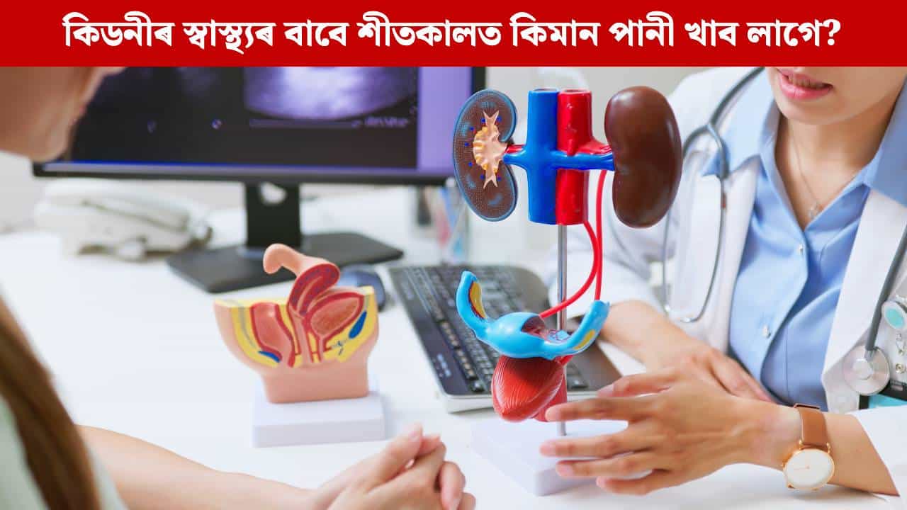 শীতকালত কম পানী খালে কিয় আপোনাৰ বৃক্কৰ ক্ষতি হ’ব পাৰে ? শীতকালত কম পানী খালে কিয় আপোনাৰ বৃক্কৰ ক্ষতি হ’ব পাৰে ?