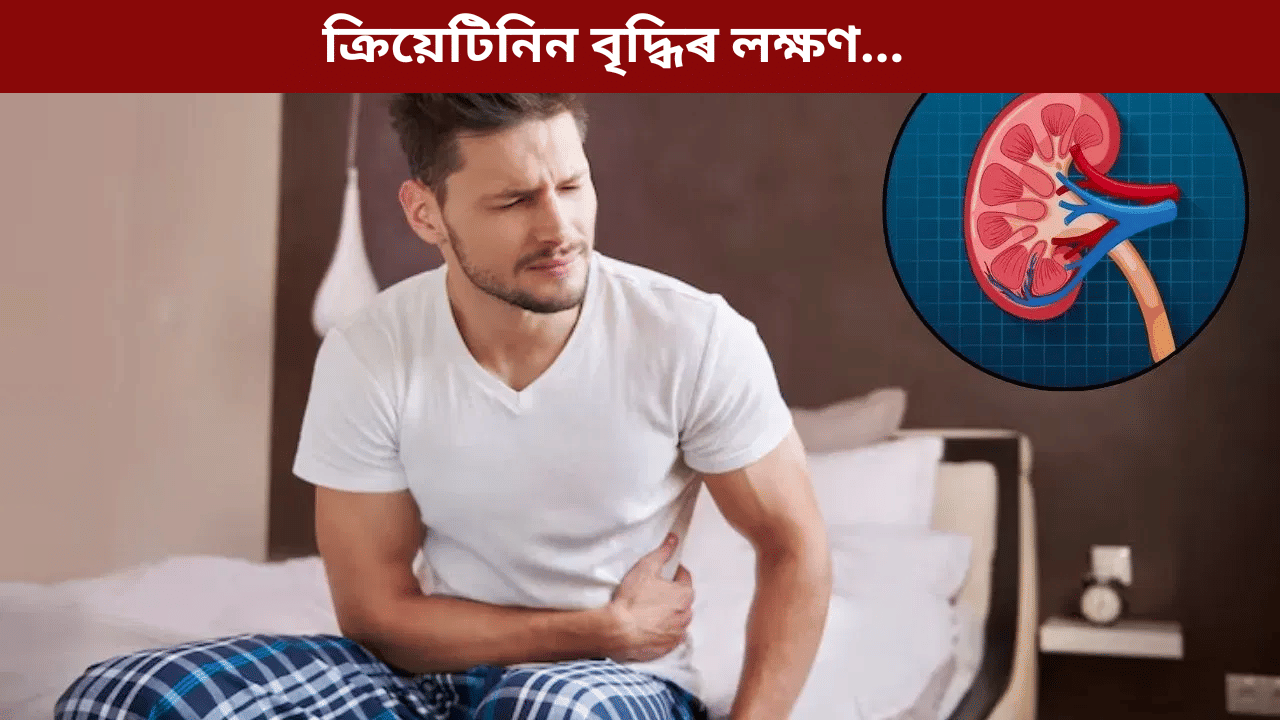 বৃক্কত ক্ৰিয়েটিনিন বৃদ্ধি পালে শৰীৰে দিয়ে এইসমূহ ইংগিত! জানক চিকিৎসকৰ পৰা…