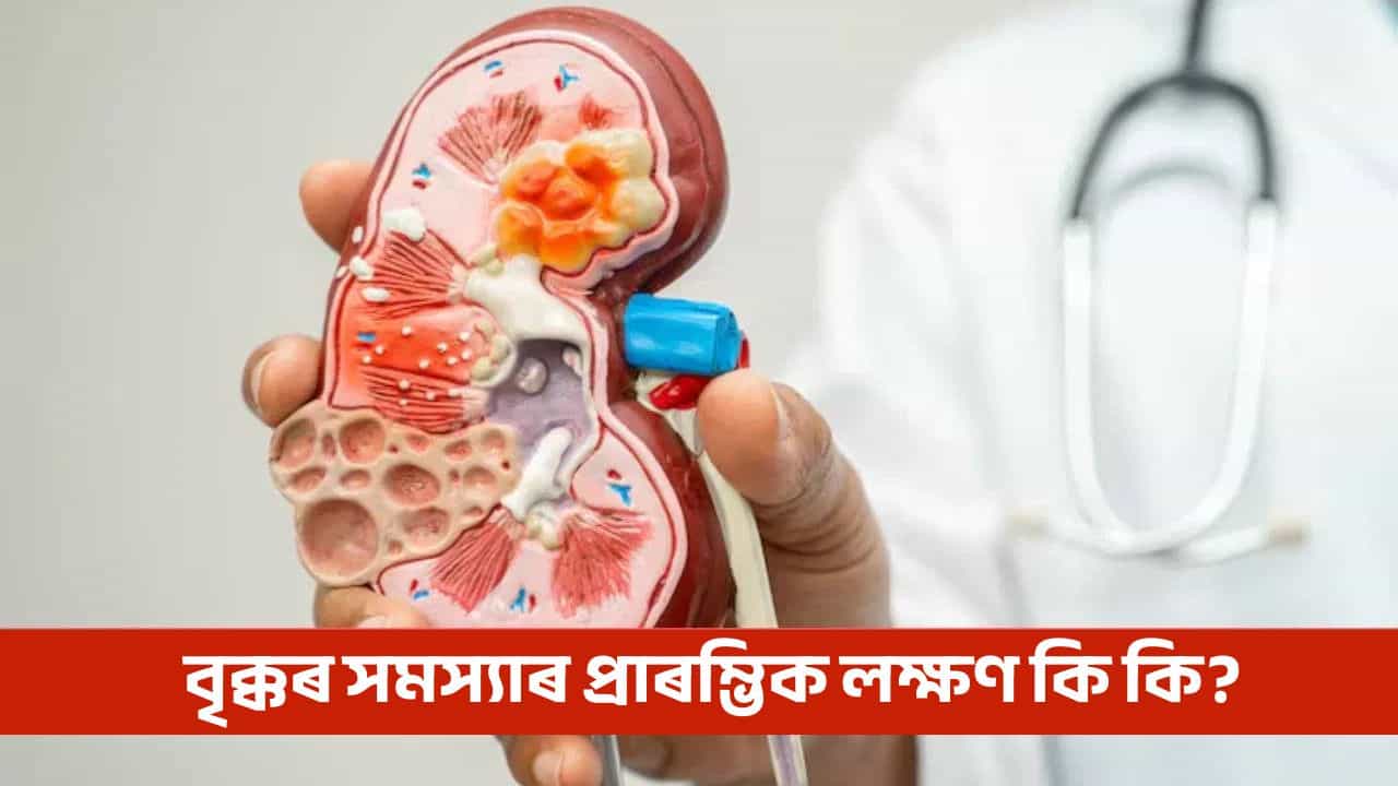বাৰে বাৰে প্ৰস্ৰাৱৰ অনুভৱ আৰু ভৰি ৰঙা হোৱা... ই বৃক্কৰ কোনো ৰোগৰ লক্ষণ নেকি জানক