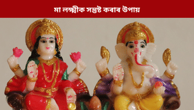 নহয় ধনৰ অভাৱ,লাভ কৰিব মা লক্ষ্মীৰ কৃপা! ঘৰত ৰাখক এই বস্তু...