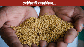 ১৪ দিন একেৰাহে মেথি গুটি খালে কি কি ৰোগ ভাল হয়? জানক সকলো...