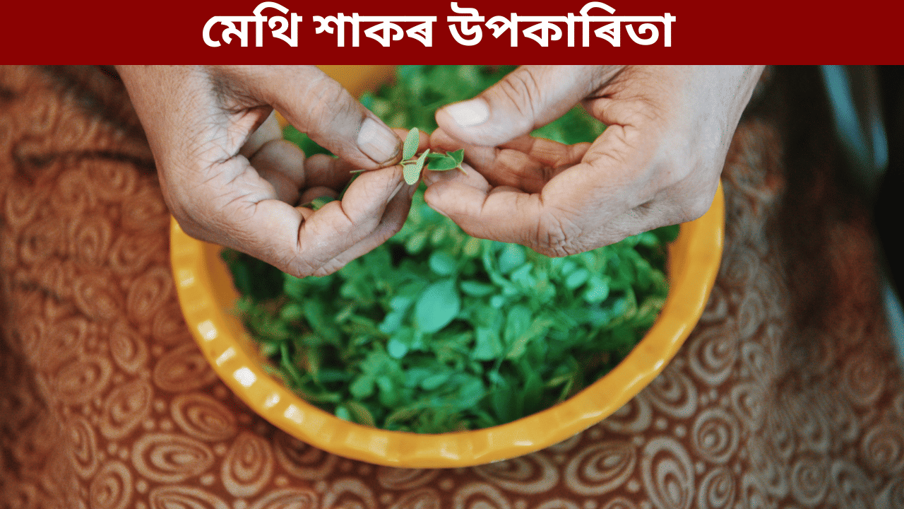 Methi Benefits: মেথি শাক কি কি ৰোগৰ বাবে ভাল? জানক ইয়াৰ উপকাৰিতা...