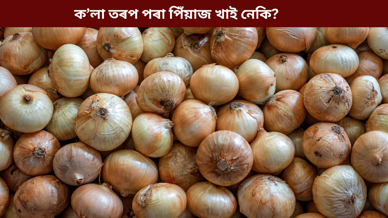 Onion: হ’ব সৰ্বনাশ! ক’লা তৰপ থকা পিঁয়াজ খালে স্বাস্থ্যৰ কি কি ক্ষতি হ’ব পাৰে, জানক…