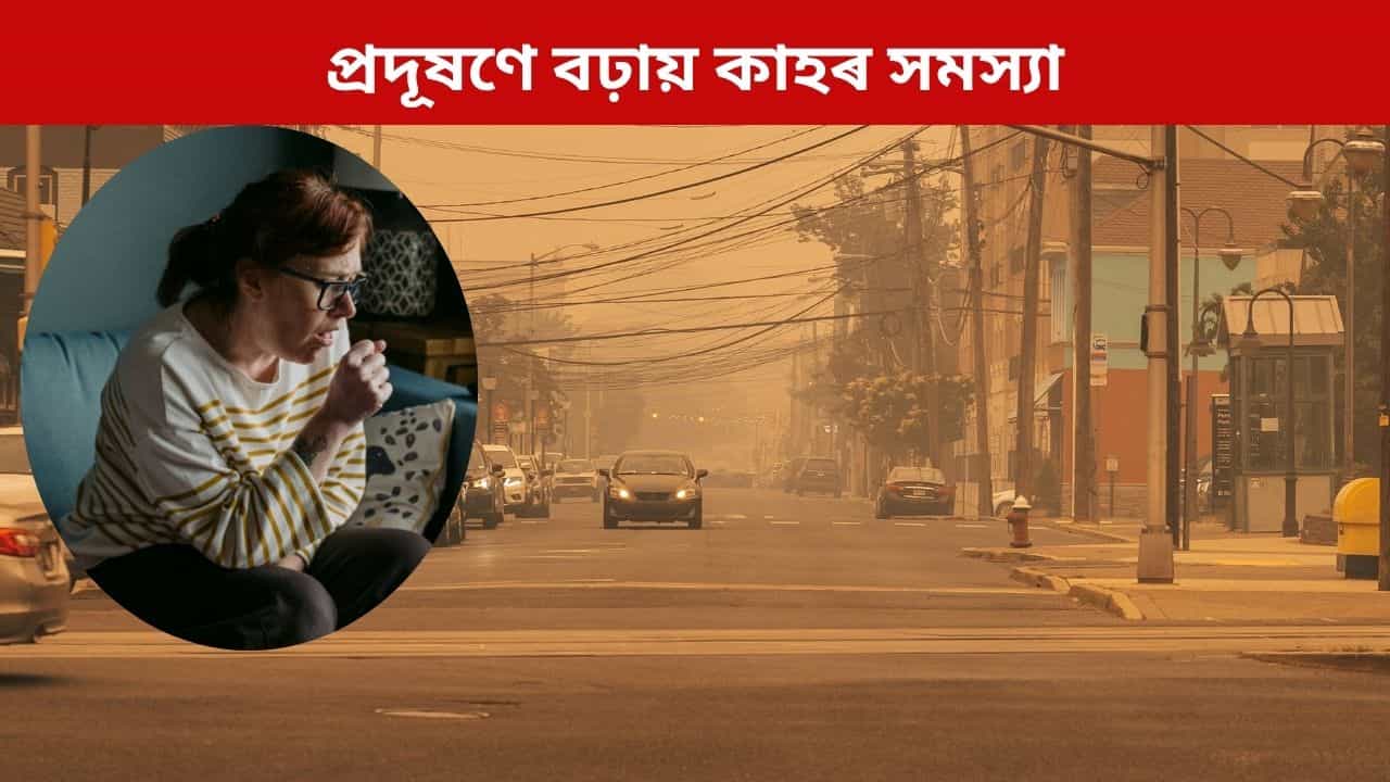 শীতৰ সমানেই প্ৰদূষণৰ প্ৰভাৱ, আপুনিও হয়তো অতিষ্ঠ হৈছে কাহৰ সমস্যাত? এনে আয়ুৰ্বেদিক উপায়েৰে পাব সকাহ