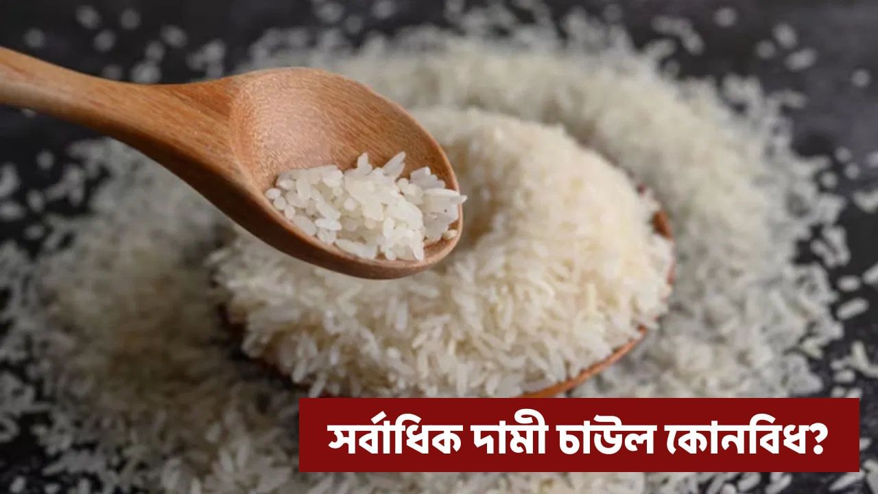 কোনখন দেশত চাউলৰ দাম সৰ্বাধিক? ১ কিলোগ্ৰামৰ দাম শুনিলে আচৰিত হ’ব আপুনি!