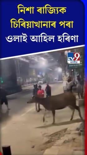 নিশা ৰাজ্যিক চিৰিয়াখানাৰ পৰা ওলাই আহিল হৰিণ