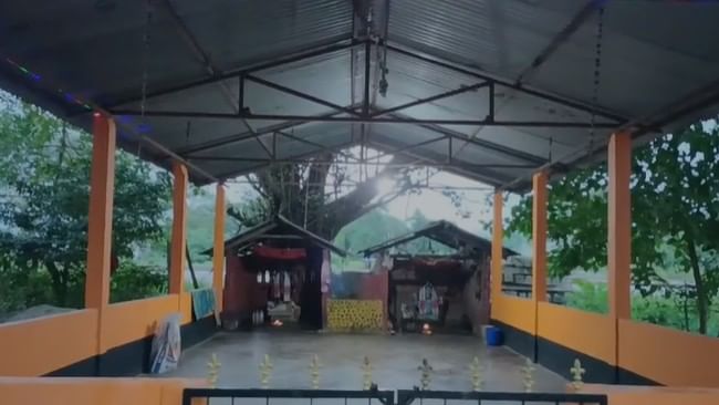 প্ৰকৃতি আৰু বিশ্বাস একেলগে সন্মুখত! টিটকাৰ এডাল সাপে সকলোৰে দৃষ্টি আকৰ্ষণ কৰিছে। কিছুদিনৰ পৰা এডাল বিশেষ গছ আৰু সাপ সামাজিক মাধ্যমত ভাইৰেল হৈ আছে।