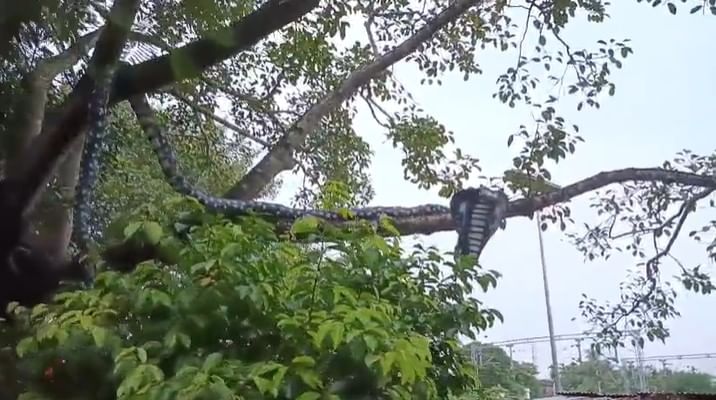 বিশ্বাস কৰিলে সকলো সম্ভৱ! বিশ্বাসৰ ফলতে এটি শিলকো আমি ভগৱান ৰূপে পূজা কৰো। এই সমস্ত পৃথিৱী বিশ্বাসৰ ওপৰতে চলি আছে। আজি তেনেই এটা কাহিনী জানো আহক...