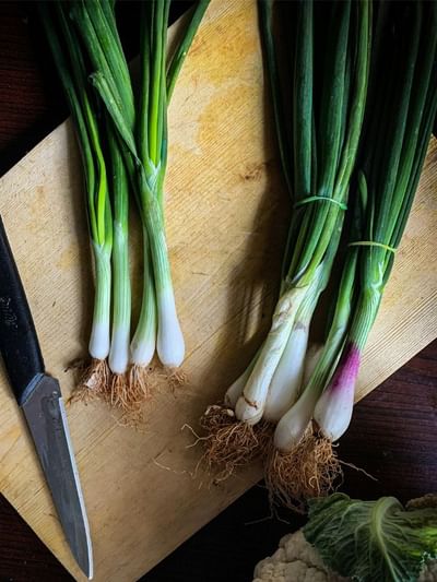 কেৱল সোৱাদতে নহয়, উপকাৰিতাৰ দিশতো অনন্য পিঁয়াজ পাত; জানিবলৈ চাওক…