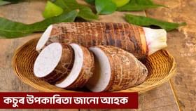 কচুৰ এই উপকাৰী গুণৰ বিষয়ে জানেনে? বিশেষজ্ঞই কি কয় জানক