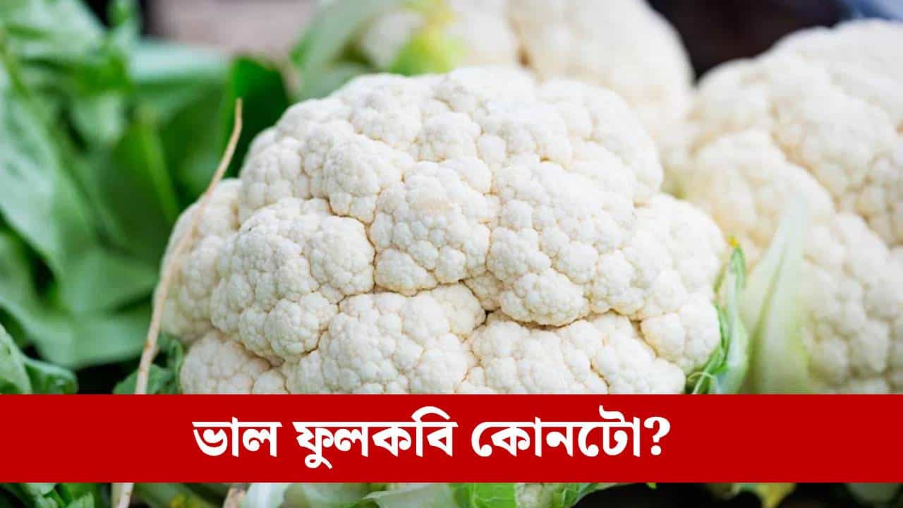 Cauliflower: কিদৰে চিনি পাব পোক নথকা ফুলকবি? পৰিষ্কাৰ কৰাৰ সঠিক পদ্ধতি জানক...