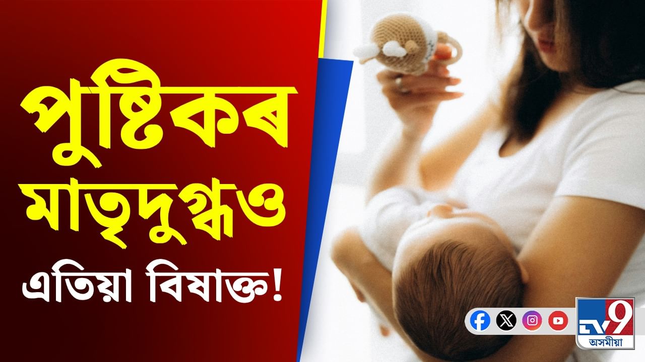 পোৱা গৈছে ইউৰেনিয়াম! শিশুৰ বাবে বিষাক্ত নেকি মাতৃদুগ্ধ? পোৱা গৈছে ইউৰেনিয়াম! শিশুৰ বাবে বিষাক্ত নেকি মাতৃদুগ্ধ?
