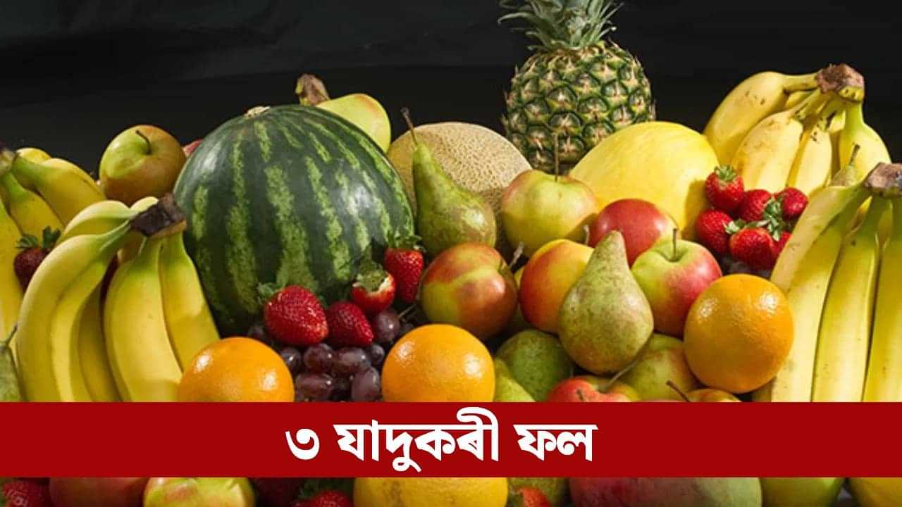 Uric acid: নিয়ন্ত্ৰণত থাকিব ইউৰিক এচিড! এই তিনিবিধ ফল খাবলৈ আৰম্ভ কৰক... Uric acid: নিয়ন্ত্ৰণত থাকিব ইউৰিক এচিড! এই তিনিবিধ ফল খাবলৈ আৰম্ভ কৰক...