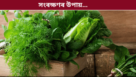 শীতকালত শাক-পাচলি দীৰ্ঘদিনলৈ সতেজ কৰি ৰখাৰ সহজ উপায়...