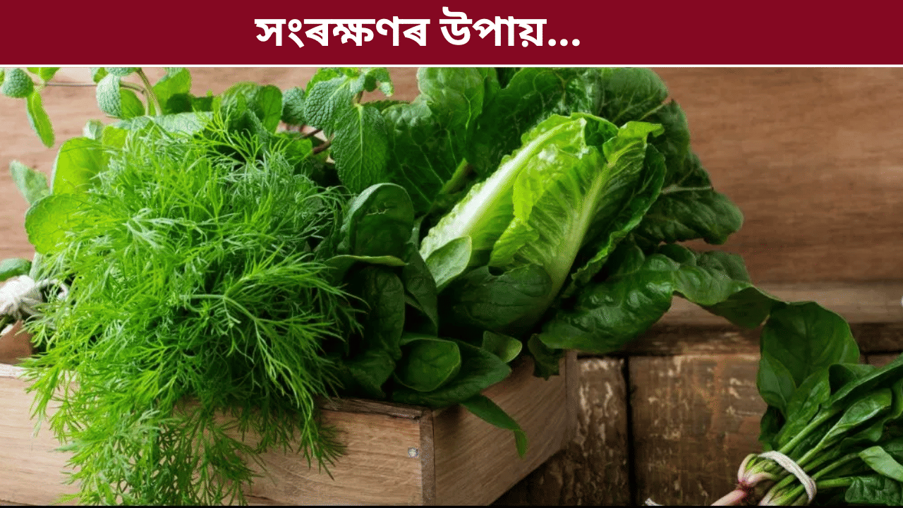 ক্ৰয় কৰাৰ পাছতে কলা পৰি যায় নেকি? এই সহজ উপায়ৰ দ্বাৰা দীৰ্ঘদিনলৈ সতেজ ৰাখক শাক-পাচলি...