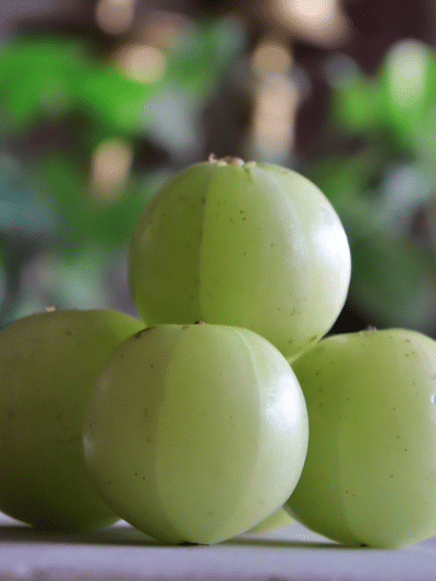 প্ৰতিদিনে ১টা আমলখি খালে কম হ’ব পাৰে এই ৫টা ৰোগৰ আশংকা! জানক…