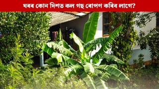 ঘৰৰ এই দিশত ৰোপণ কৰক কল গছ, বাঢ়িব ধন-সম্পত্তি; বাস্তু শাস্ত্ৰই দিছে বিধান