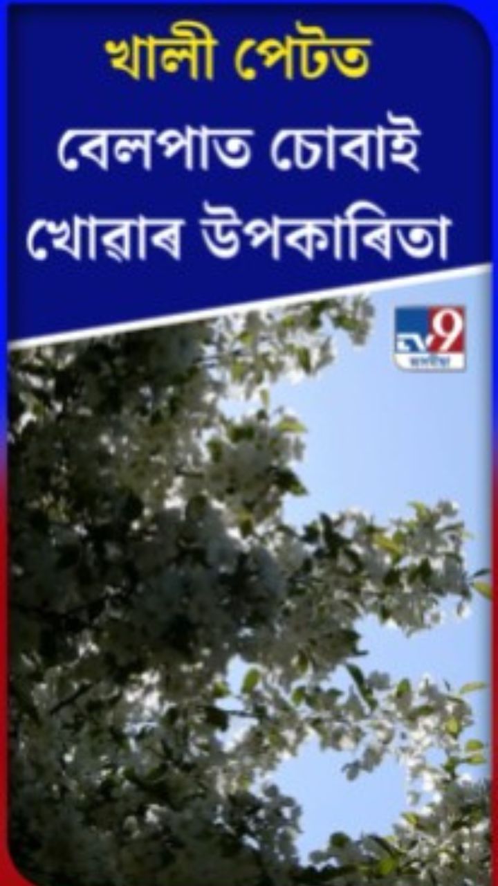 ৰাতিপুৱা খালী পেটত ২-৩ টা বেলপাত চোবাই খালে কি হয়?