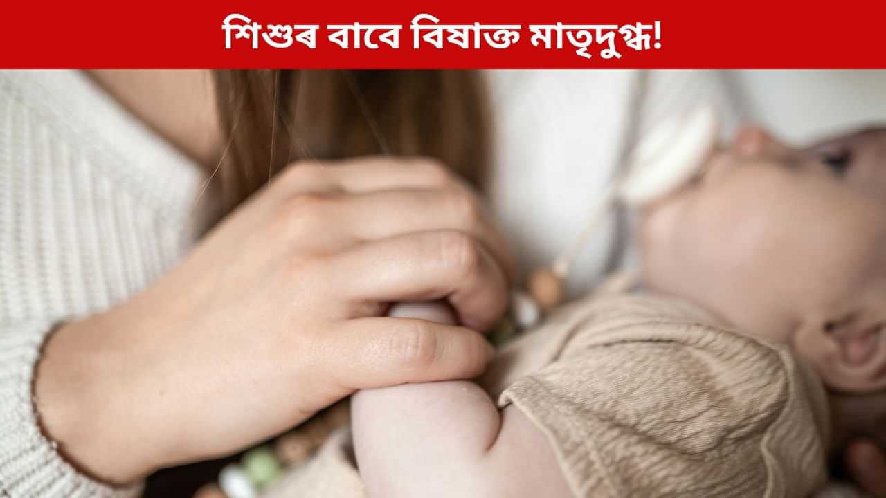 শিশুৰ বাবে বিষাক্ত মাতৃদুগ্ধ! অধ্যয়নত পোহৰলৈ আহিছে চাঞ্চল্যকৰ তথ্য
