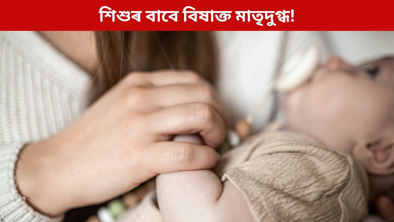 শিশুৰ বাবে বিষাক্ত মাতৃদুগ্ধ! অধ্যয়নত পোহৰলৈ আহিছে চাঞ্চল্যকৰ তথ্য