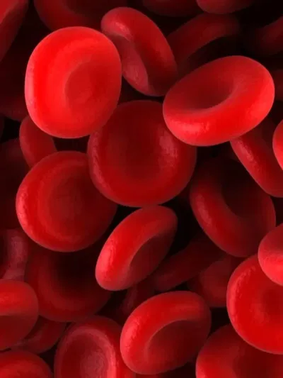 তেজ গোট মাৰিলে শৰীৰত  কি কি লক্ষণে দেখা দিয়ে? জানক…