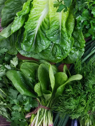 স্বাস্থ্য ভালে ৰাখিবলৈ শীতকালত খাওক এইবোৰ শাক-পাচলি, সবিশেষ জানক…