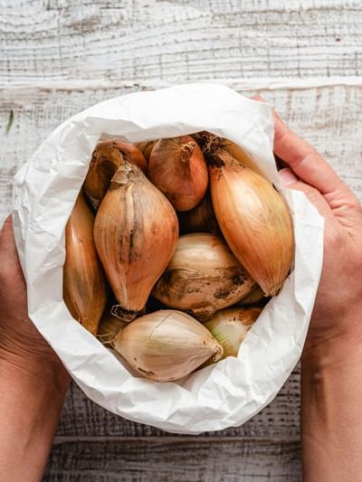 ডায়েবেটিছ ৰোগীয়ে পিঁয়াজ খালে কি হয়? জানক…