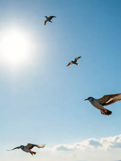 কোনবোৰ চৰাই দেখাটো শুভ সংকেত? জানক…