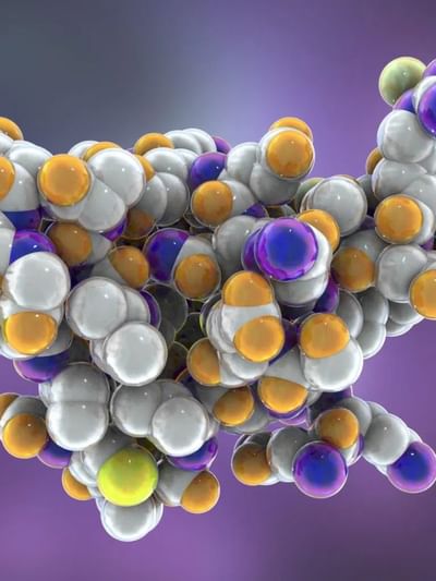 শৰীৰত প্ৰটিনৰ অভাৱ হ’লে কি হয়? ইয়াৰ লক্ষণবোৰ জানক