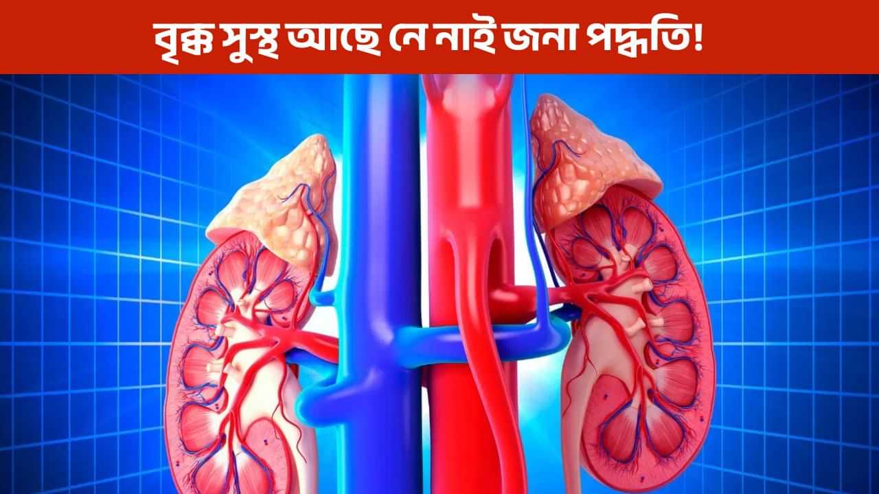 আপোনাৰ বৃক্ক সুস্থ আছে নে? এই সহজ উপায়েৰে কৰক পৰীক্ষা! আপোনাৰ বৃক্ক সুস্থ আছে নে? এই সহজ উপায়েৰে কৰক পৰীক্ষা!