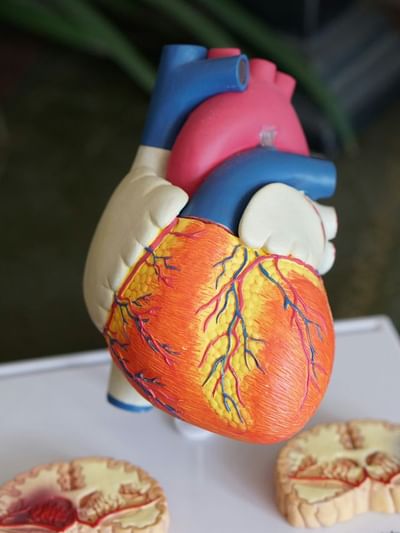 ছালত দেখা দিছে নেকি এনে সমস্যাই? সাৱধান! নকৰিব আওকাণ, হ’ব পাৰে হৃদৰোগৰ ইঙ্গিত