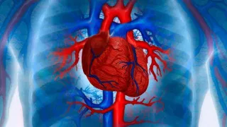 শৰীৰৰ এই ৬টা সাধাৰণ লক্ষণে দিয়ে ধমনী বন্ধ হোৱাৰ ইংগিত, জানক…