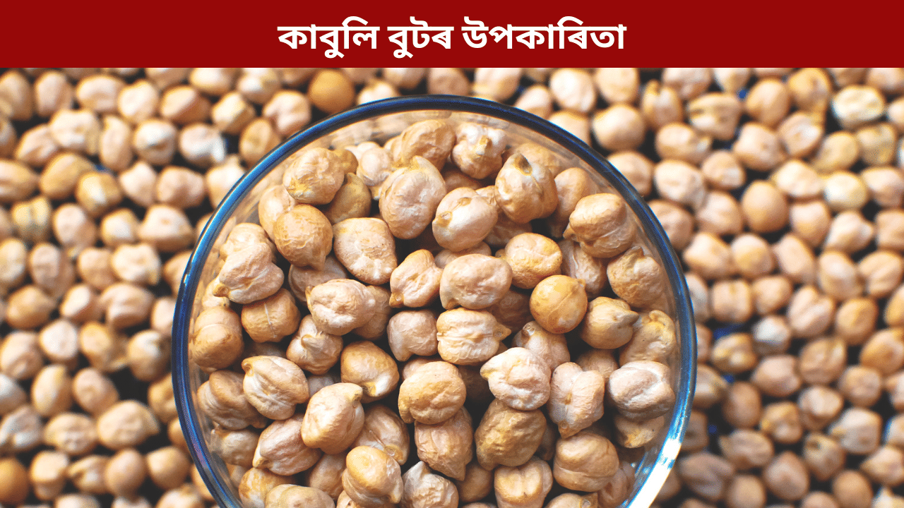 কাবুলি বুট খালে শৰীৰে কি কি উপকাৰ লাভ কৰে? জানক সকলো…