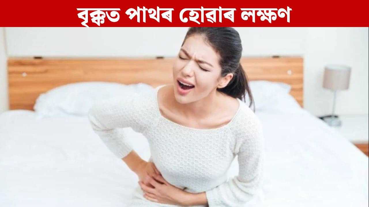 Kidney Stone: শীতকালত কিয় বৃদ্ধি পায় কিডনীত পাথৰ হোৱাৰ সম্ভাৱনা? প্ৰস্ৰাৱত দেখা যায় এই তিনিটা লক্ষণ... Kidney Stone: শীতকালত কিয় বৃদ্ধি পায় কিডনীত পাথৰ হোৱাৰ সম্ভাৱনা? প্ৰস্ৰাৱত দেখা যায় এই তিনিটা লক্ষণ...