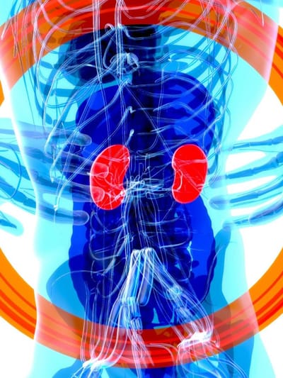 দৈনন্দিন জীৱনৰ এই ৭টা কু-অভ্যাসে কিডনীলৈ মাতে বিপদ, জানি লওক এতিয়াই