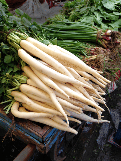হ’ব অনিষ্ট! এইসকল লোকে ভুলতো খাব নালাগে মূলা, জানক সকলো…