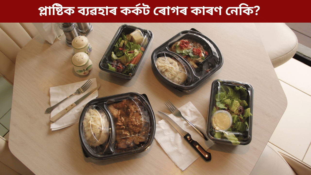 প্লাষ্টিকৰ পাত্ৰত খাদ্য খালে কৰ্কট ৰোগ হয় নেকি? জানক চিকিৎসকৰ পৰা সকলো…