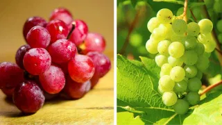 সেউজীয়া নে ৰঙা…কোনবিধ আঙুৰ অধিক উপকাৰী? জানক…