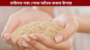 চাউলৰ পৰা পোক আঁতৰ কৰাৰ ৫টা সহজ আৰু ঘৰুৱা উপায়......