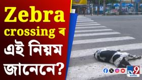জেব্ৰা ক্ৰছিঙত দুৰ্ঘটনা হ’লে পথচাৰীয়ে কি কি সুবিধা লাভ কৰিব?