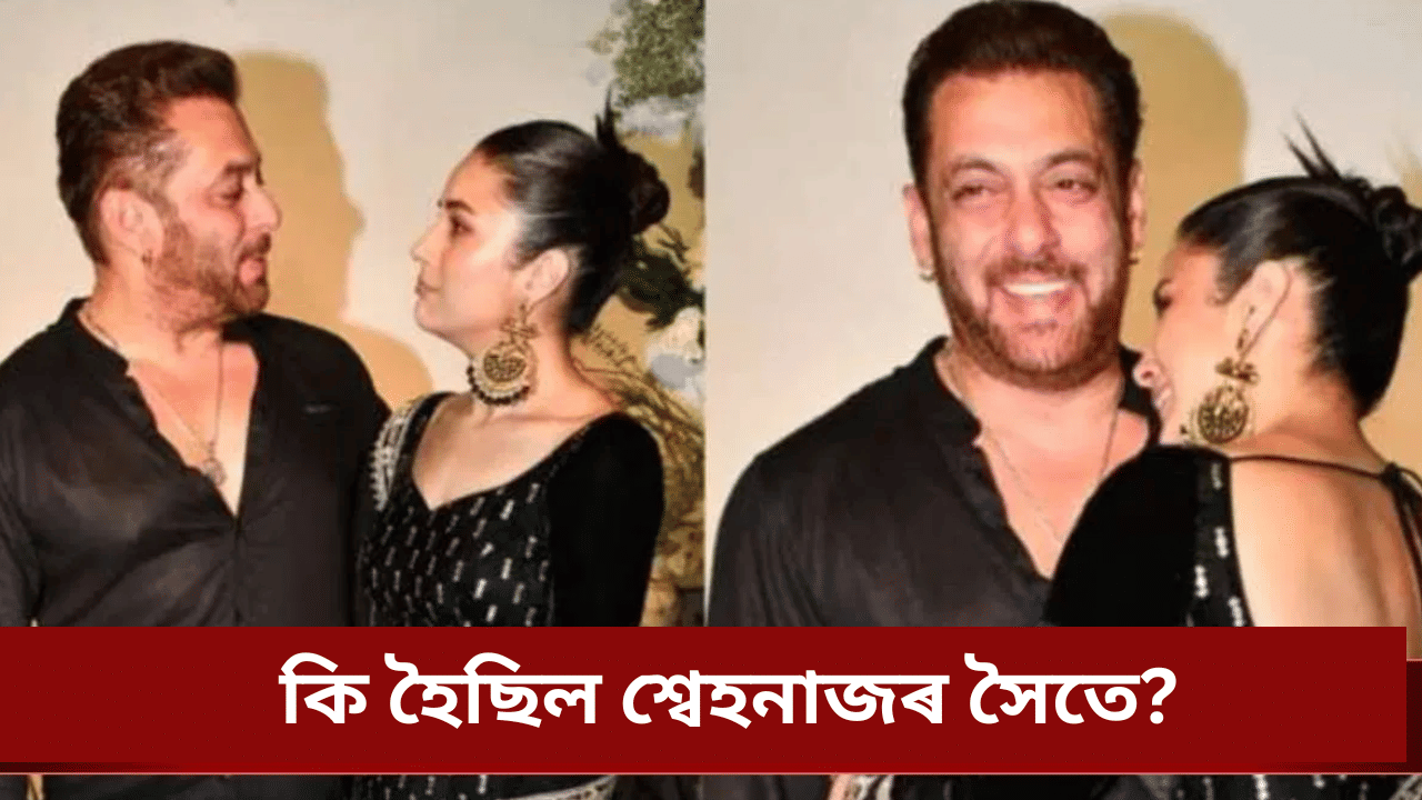 ছলমান খানৰ ফাৰ্ম হাউচত ৩ নিশা কটালে শ্বেহনাজ গিলে! ক’লে, কি কৰিছিল অভিনেতাগৰাকীয়ে…