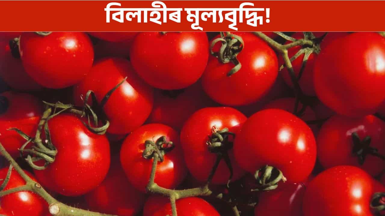 বৃদ্ধি পালে বিলাহীৰ মূল্য, চৰকাৰে চৰকাৰে গ্ৰহণ কৰিব এই পদক্ষেপ!